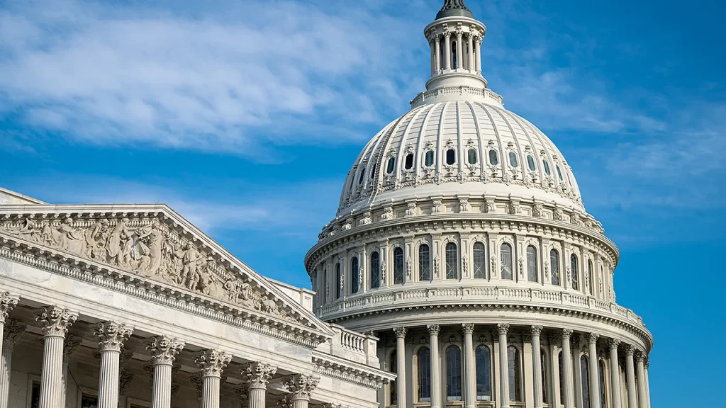 Poll Reveals Party Leading in Congressional Midterm Election Preferences