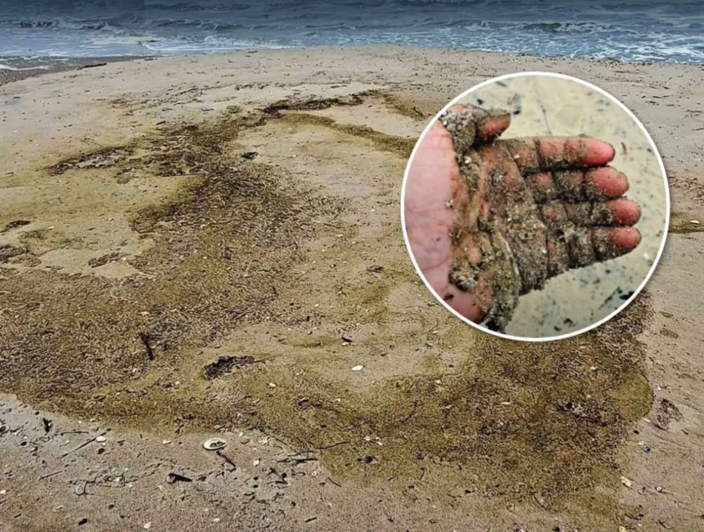 Russian Attack on Oil Tanks Leads to Oily Film in Black Sea, Reports Center for Countering Disinformation