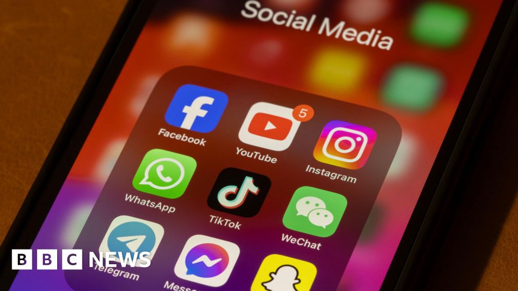 Gabon Government Blocks Social Media, Citing Disinformation Concerns
