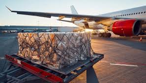 Cargo Fee Misinformation Threatens National Reform Efforts