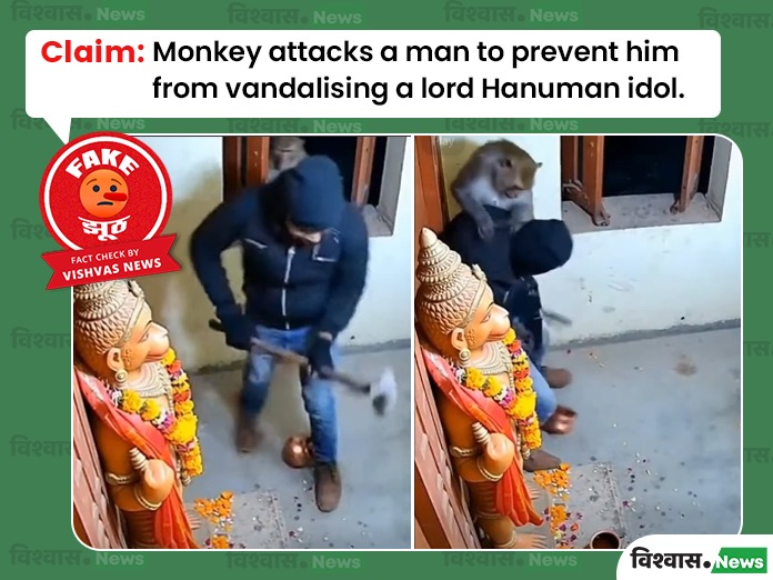 Viral Video of Monkey Defending Hindu Deity Statue Revealed as AI-Generated