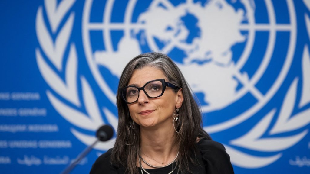 UN Panel Rejects European Calls for Albanese Resignation, Cites Disinformation