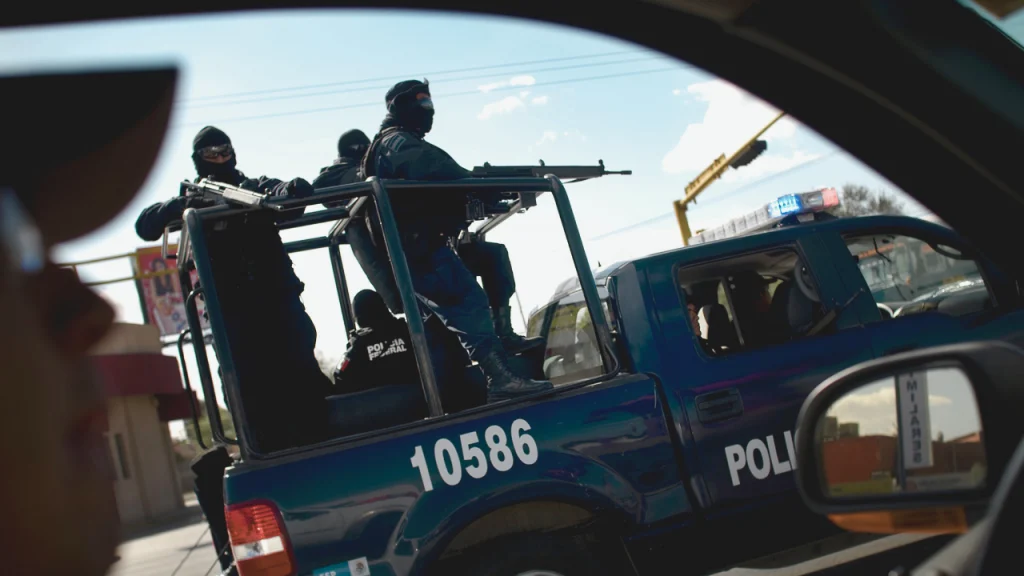 Drug Kingpins’ Arrests Fail to Impact Prices as Cartels Defy Economic Norms