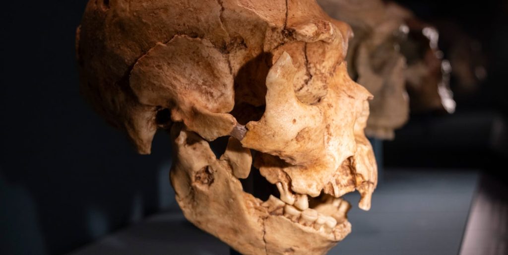 Scientists Find AI Generates Misinformation When Questioned About Neanderthals
