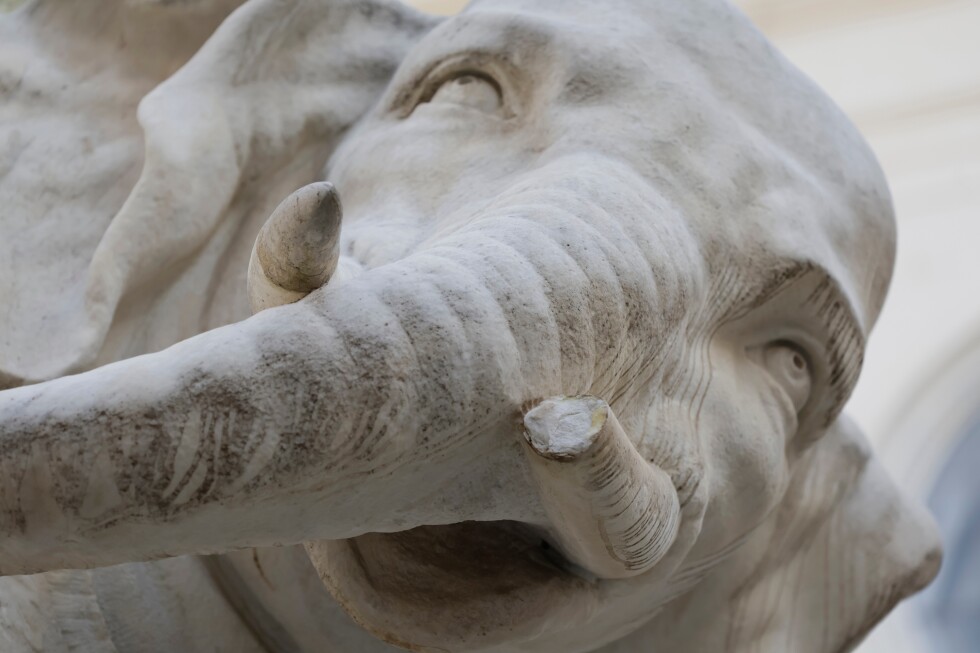Police investigate how Rome’s beloved Bernini elephant sculpture lost the tip of its tusk — again