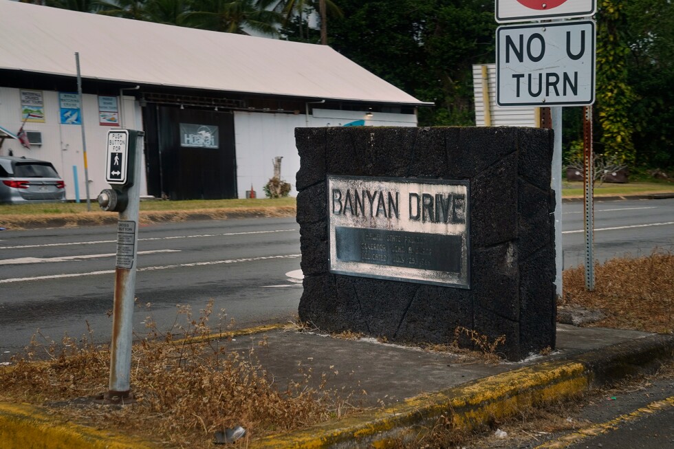 Hilo’s beloved Banyan Drive is in ruins. Could a new agency save it?