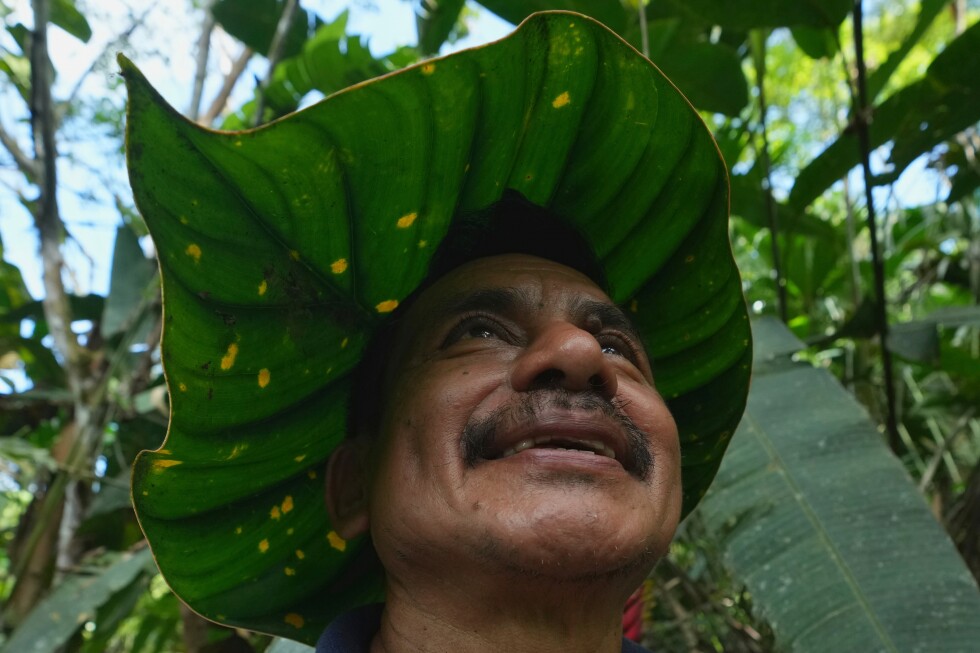Seed guardians of the Amazon: A family’s solitary fight to save endangered plants