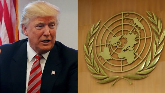 Fact Check: Examining Claims That UN Labeled Trump as Racist