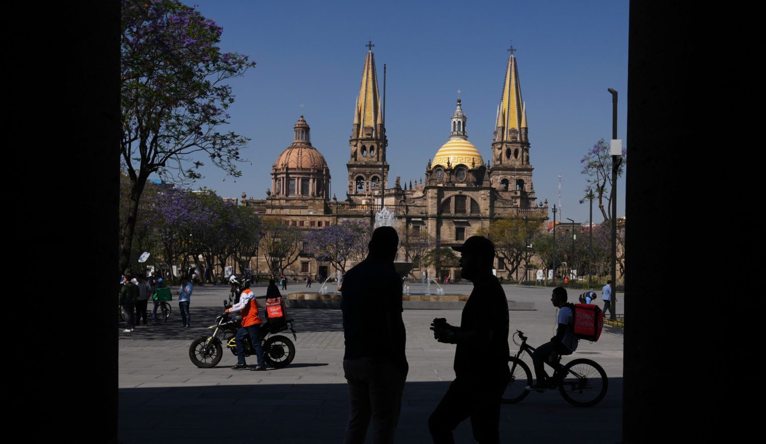 Online Disinformation Sparks Panic in Puerto Vallarta