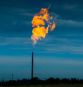 Climate Information Wars: Combatting Misinformation and Disinformation