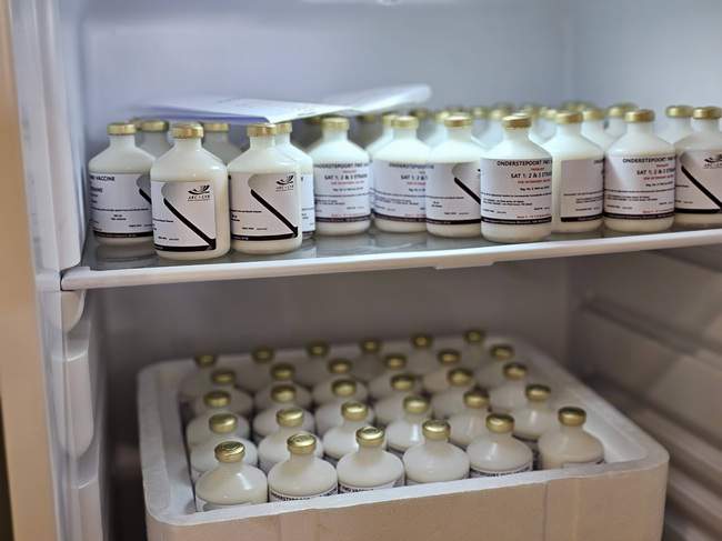 Fact Check: Claims of Mandatory Payment or Registration for Farmer Vaccines Proven False