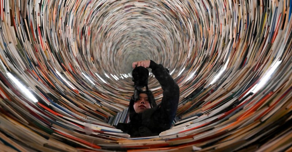 Media Capture: The Impact on Misinformation and Information Overload