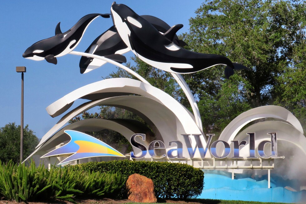 DOJ sues SeaWorld’s parent company over wheeled walker ban