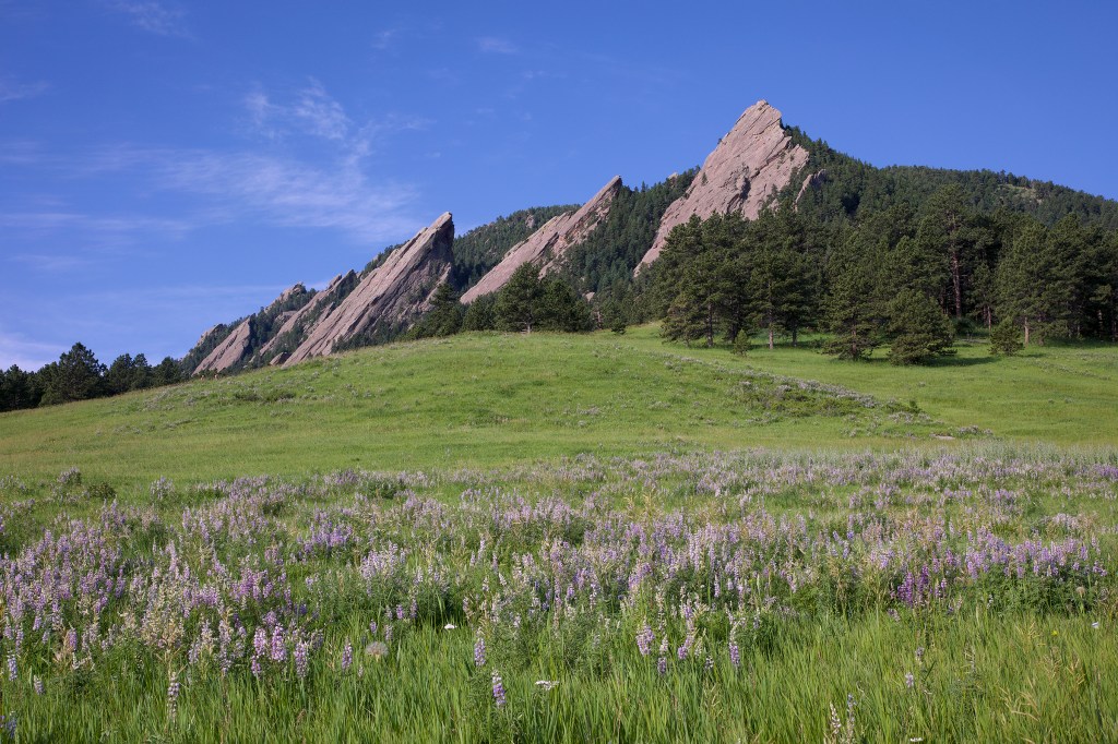 Schiffer: Ensuring Accuracy Before Sharing Stories