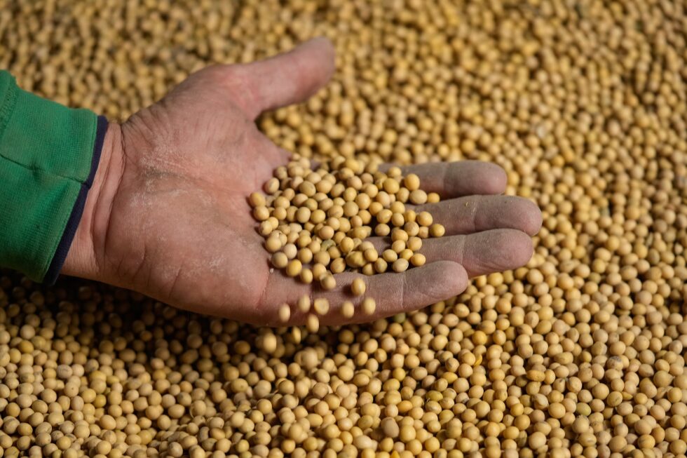 Key takeaways on the economic headwinds facing Midwest soybean farmers