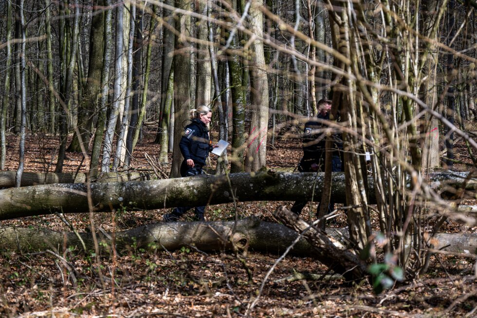 High winds topple tree in Germany, killing 3 on an Easter hunt