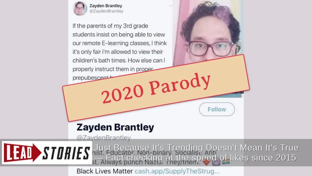 Fact Check: Fabricated Twitter Profile of ‘Zayden Brantley’ Claiming to Be Non-Binary Teacher Was Deleted in 2020